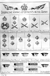 Gradabzeichen für Offiziere der britischen Armee - CH-BAR - 3239756
