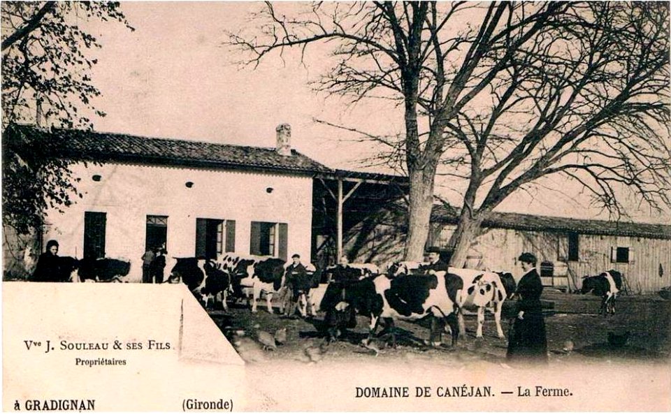 Gradignan - Domaine de Canéjan