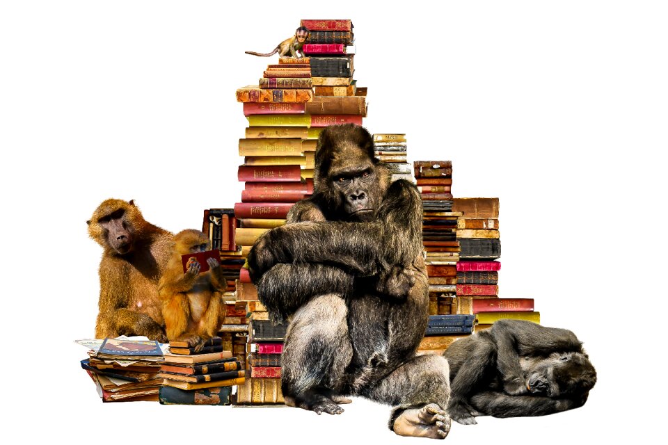 Book stack animals ape