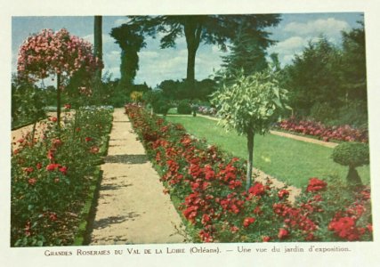 Grandes Roseraies du Val de la Loire vue photo