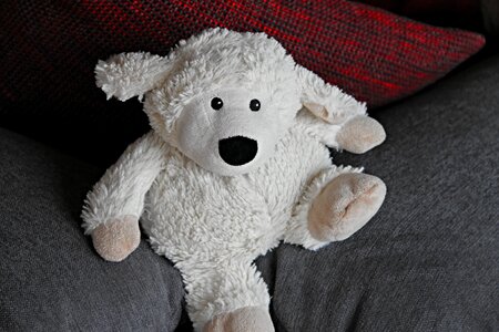 Soft toy cute stuffed animal photo