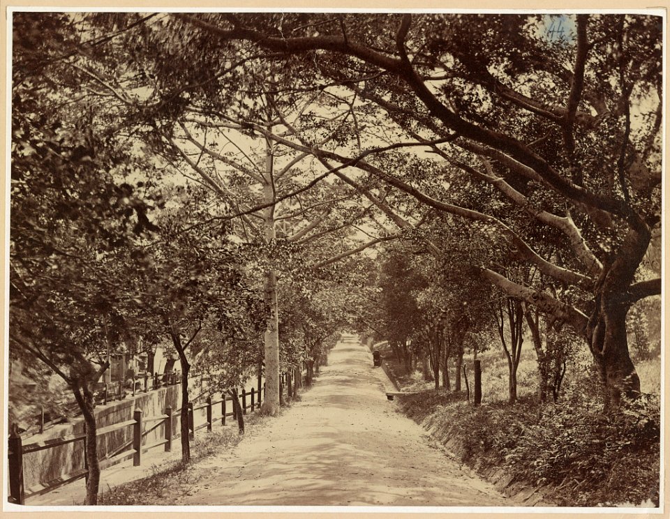 Grant's world tour China. Hong Kong. The grove. May 16, 1879. LCCN2015650862