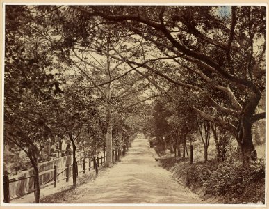 Grant's world tour China. Hong Kong. The grove. May 16, 1879. LCCN2015650862