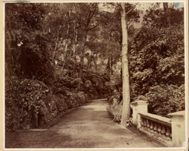 Grant's world tour China. Hong Kong. Path in the public gardens. May 16, 1879. LCCN2015650861