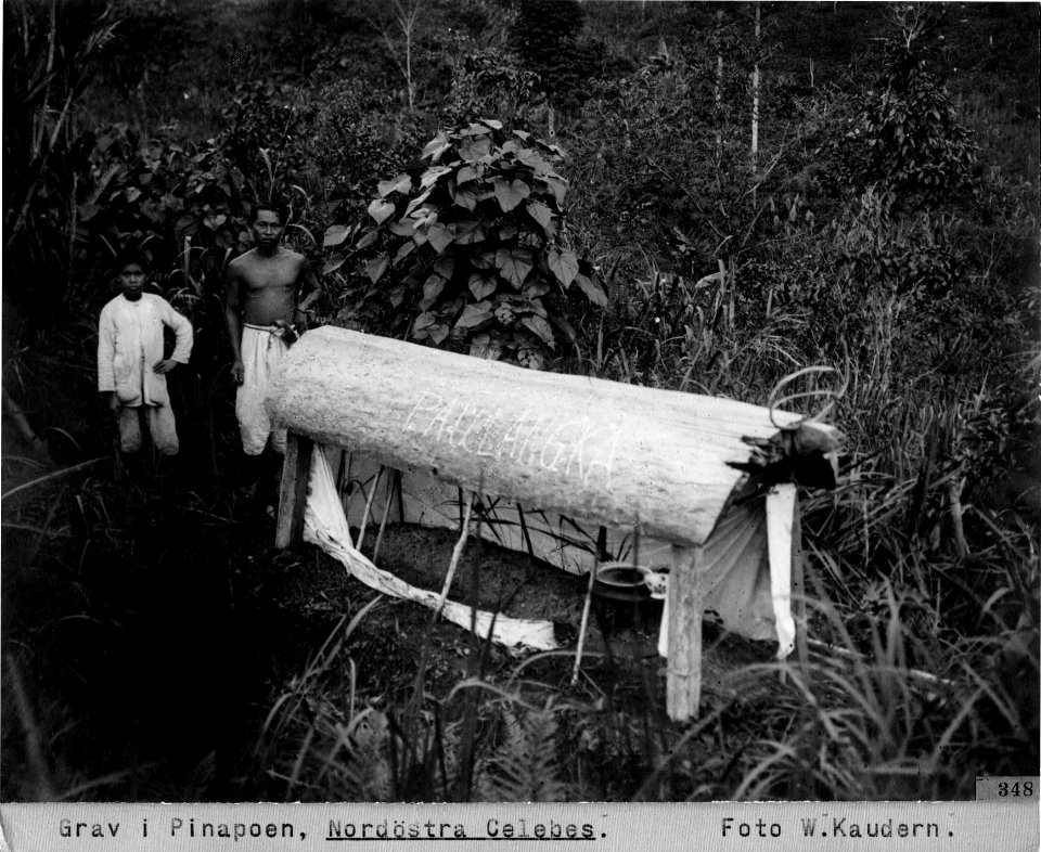 Grav i Pinapoean.re. Banggaai, Sulawesi, Kabupaten Banggai. Indonesien - SMVK - 000348