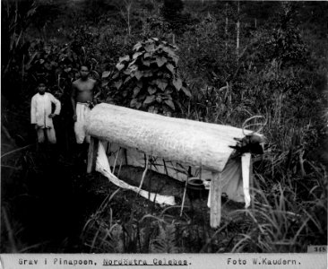 Grav i Pinapoean.re. Banggaai, Sulawesi, Kabupaten Banggai. Indonesien - SMVK - 000348