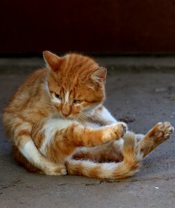 Position yoga funny