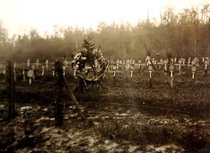 Grave decorations placed by the French Class of 1920, Marine Cemetery, near Belleau, 1918 (28327630785) photo