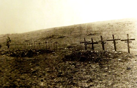 Graves on slope of Hill 218, south of Gesnes, Meuse, France, February 18, 1919 (31377954315) photo