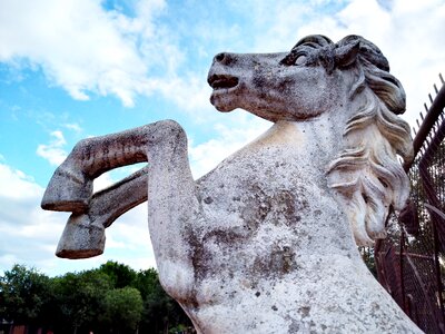 Statue horse stone