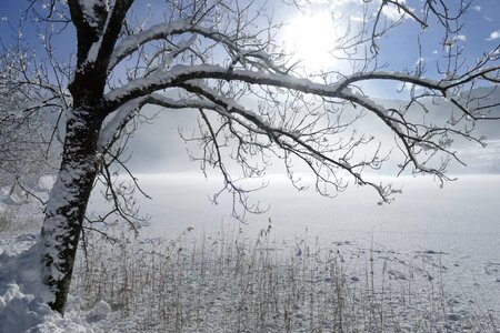 Cold frost landscape photo