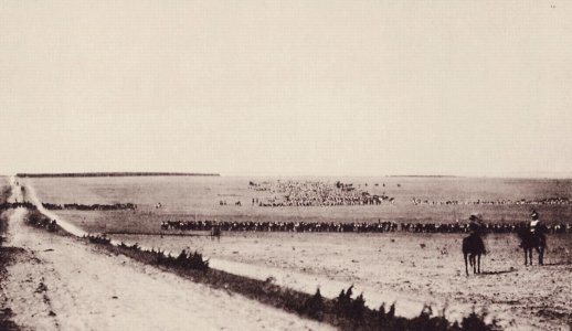 Gray, Gustave Le - Das Lager bei Châlons – Ansicht des Exerzierplatzes (Zeno Fotografie)