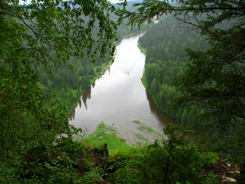 Forest sky water photo