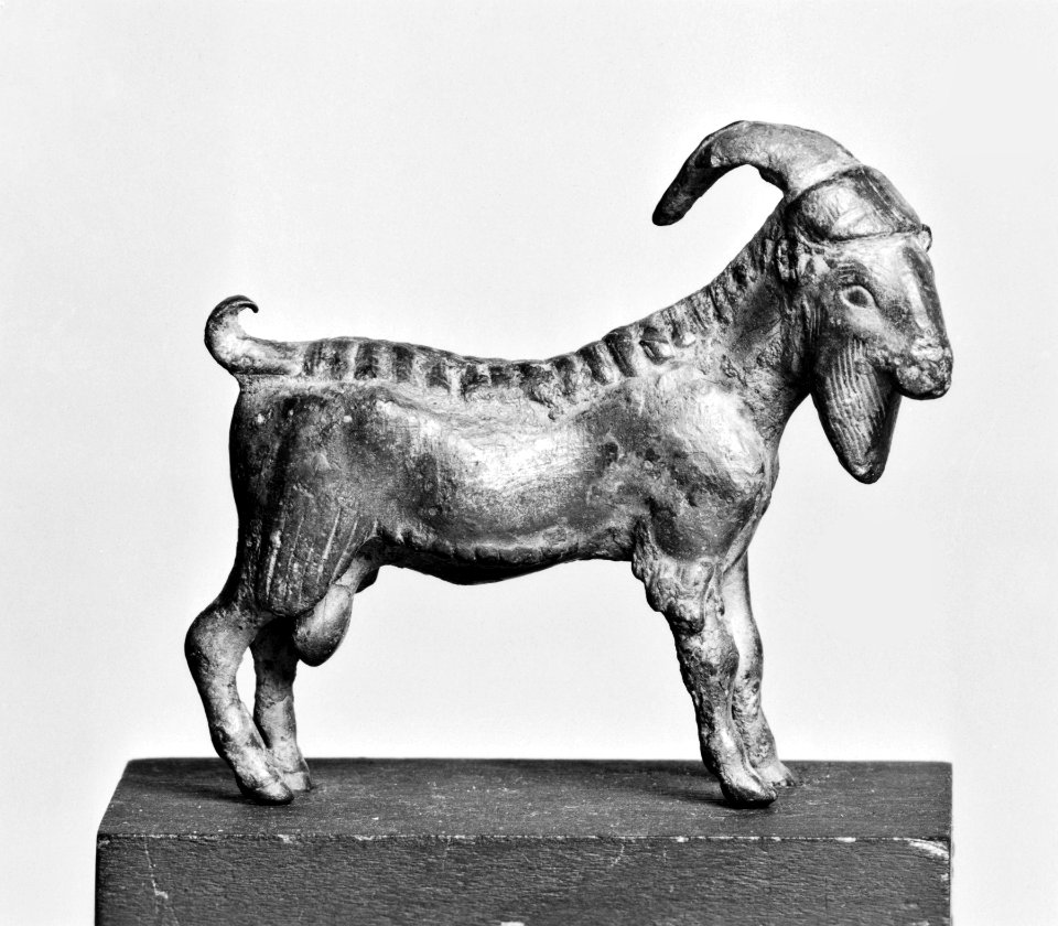Greek - Goat - Walters 541484