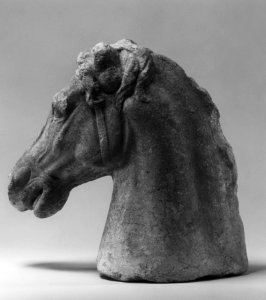 Greek - Head of a Horse - Walters 23173 - Left photo