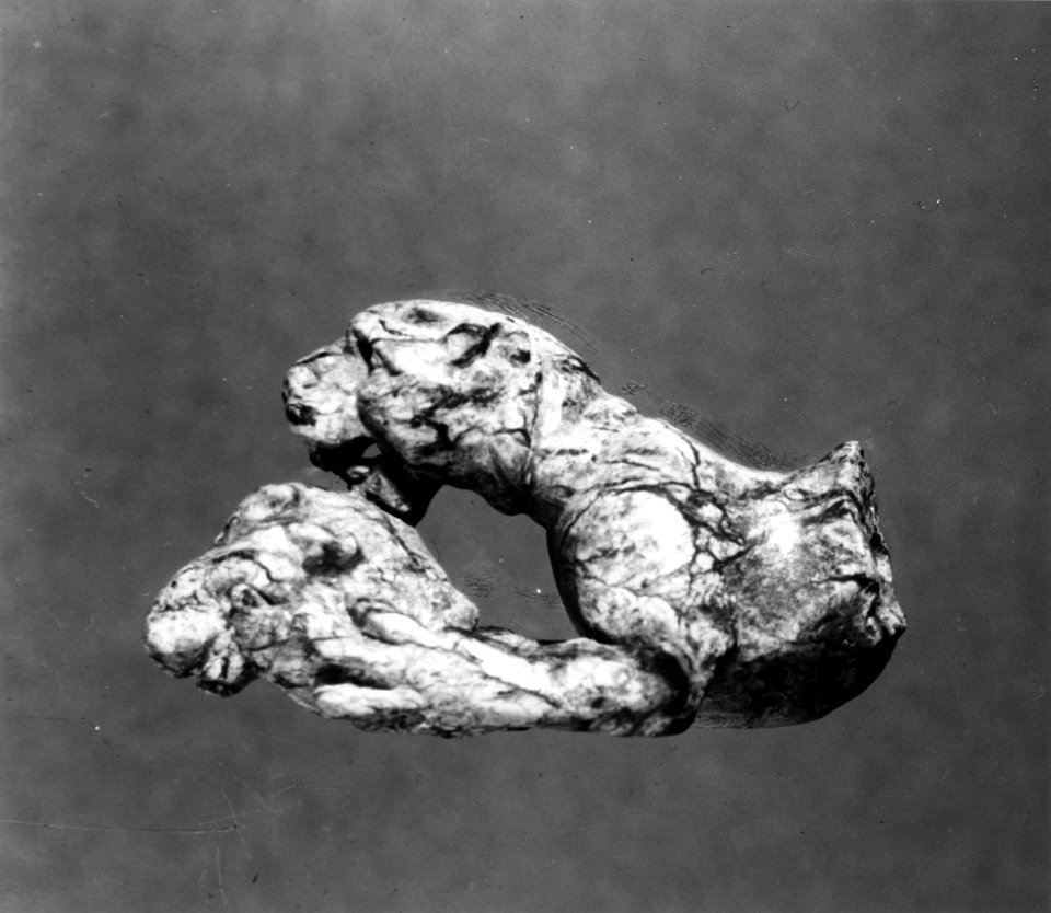 Greek - Dog Eating the Head of an Animal - Walters 23197