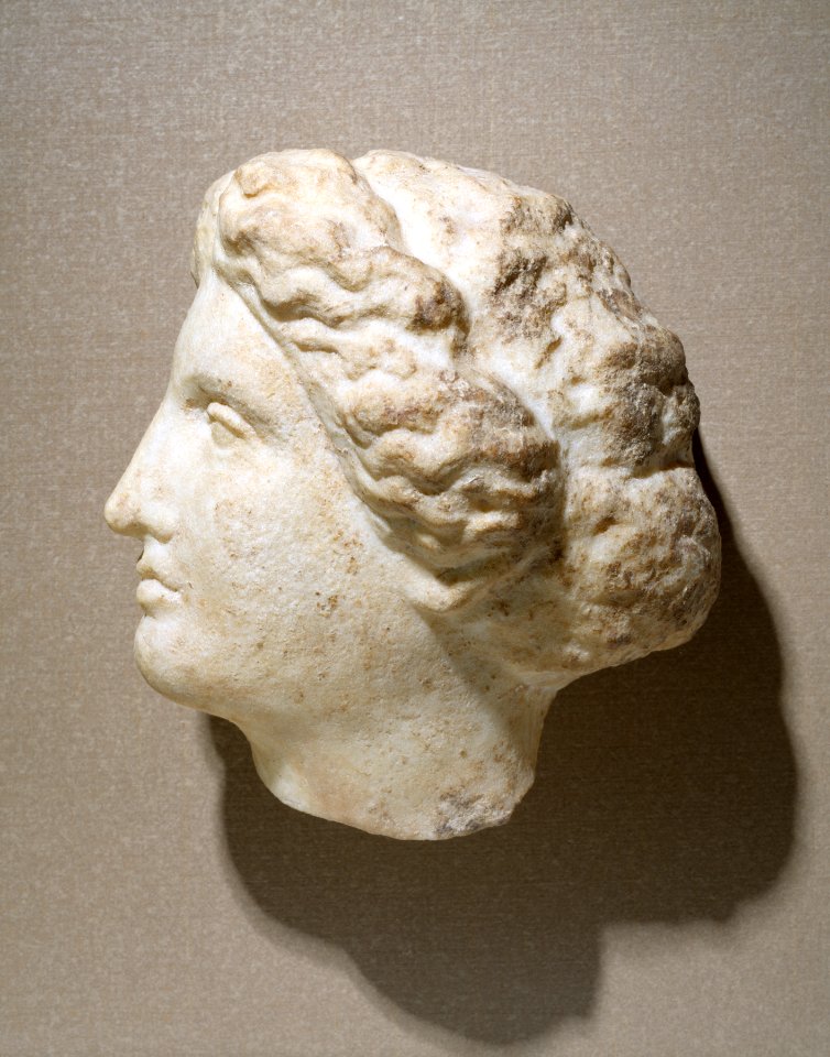 Greek - Head of a Woman - Walters 23220