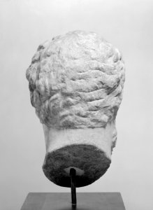 Greek - Head of a Man - Walters 23239 - Back photo