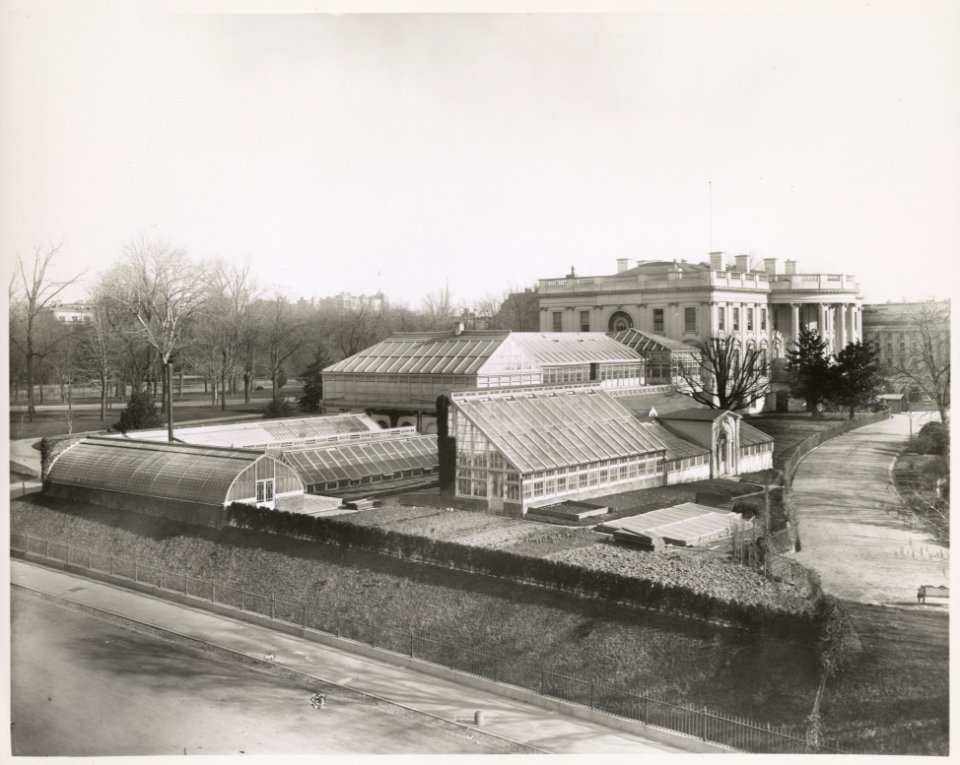 Green houses, White House, Washington, D.C. LCCN2012646240