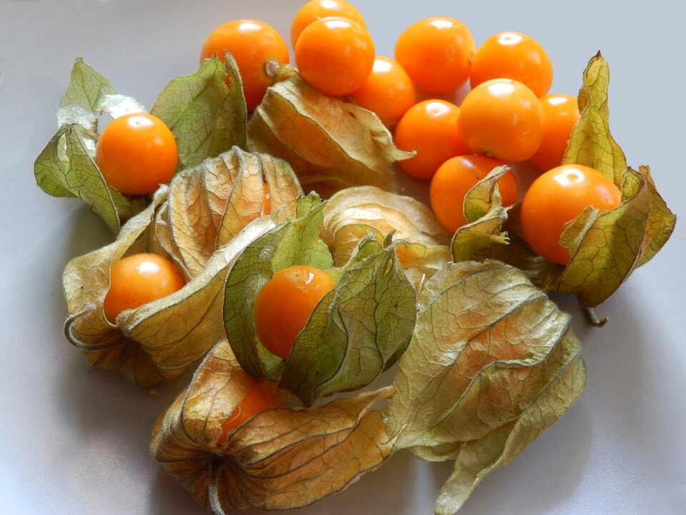 Health nature tomatillo