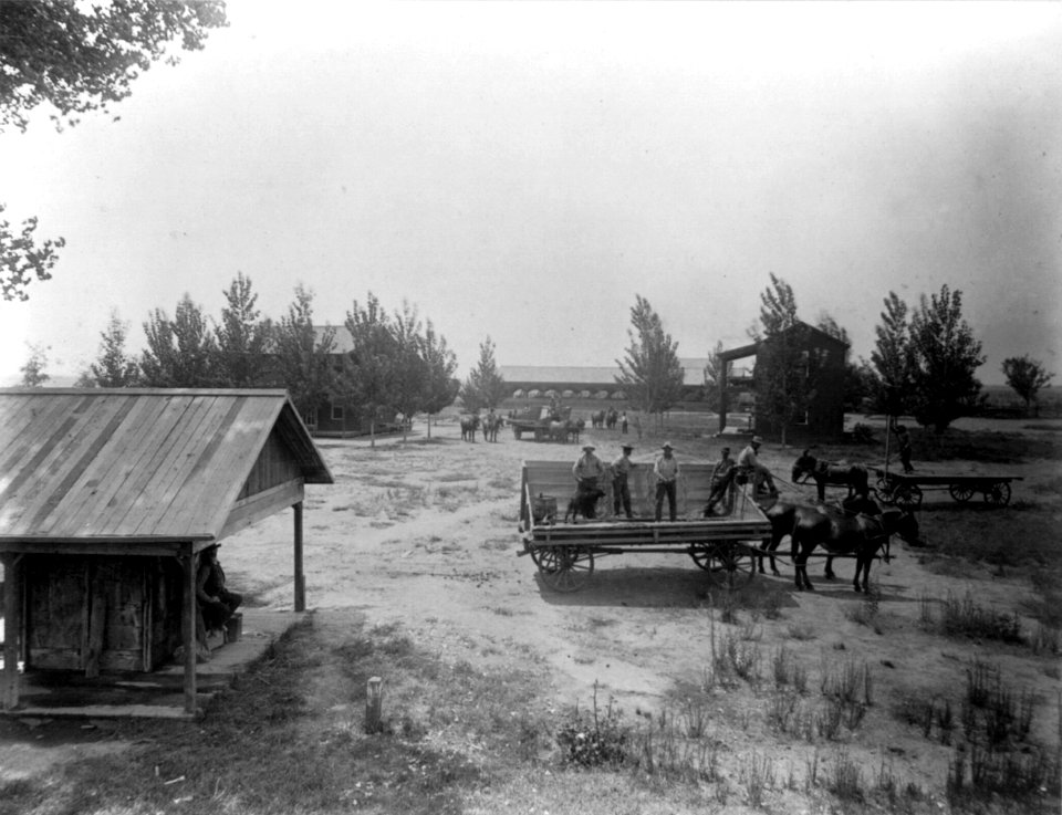 Greenfields Ranch - Camp 36, Kern County, CA cph.3b14486