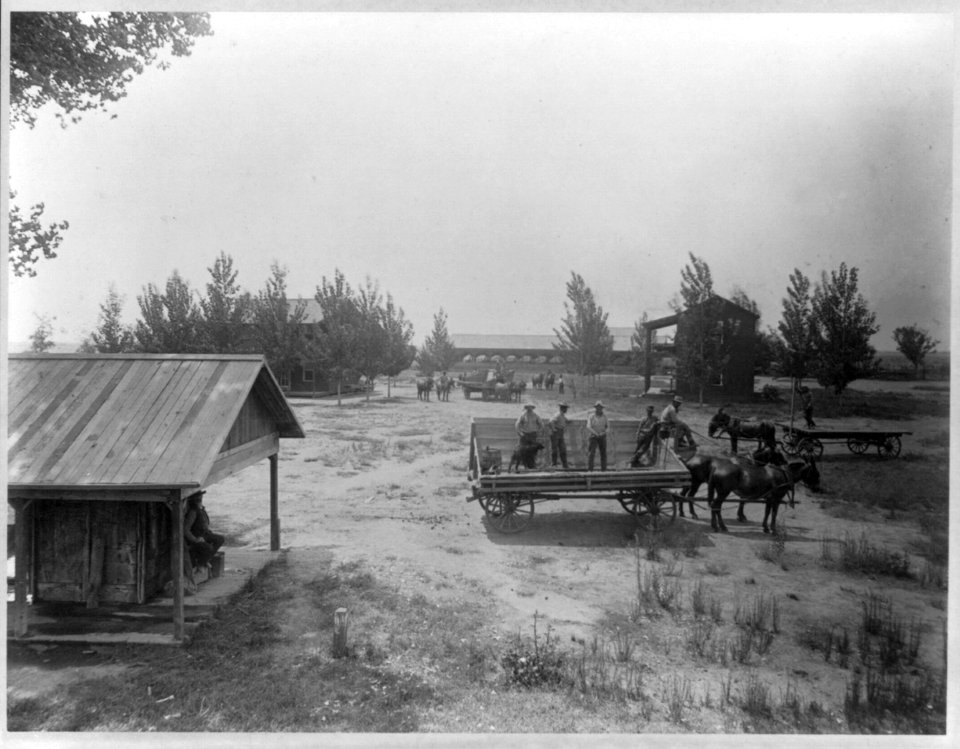 Greenfields Ranch - Camp Thirty-Six, Kern County, Calif. LCCN2003690396