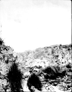 Formations- och vegetationsbild. La Paz-dalen, Sydamerika. Bolivia - SMVK - 002411