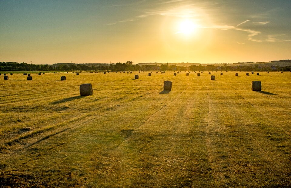 Nature outdoors sunset