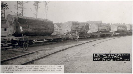 Fort Bragg (2011-1571)