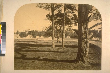 Fort Bragg - Watkins