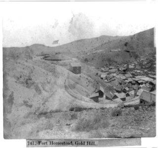 Fort Homestead, Gold Hill LCCN2002723117