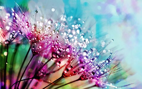 Color summer bright