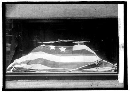 Fort Montr(...) Flag. The first to be fired on in Civil War (Museum) LCCN2016821427