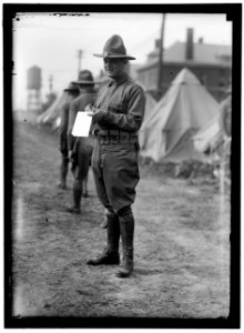FORT McHENRY. C.H. WILLIAMS LCCN2016867763
