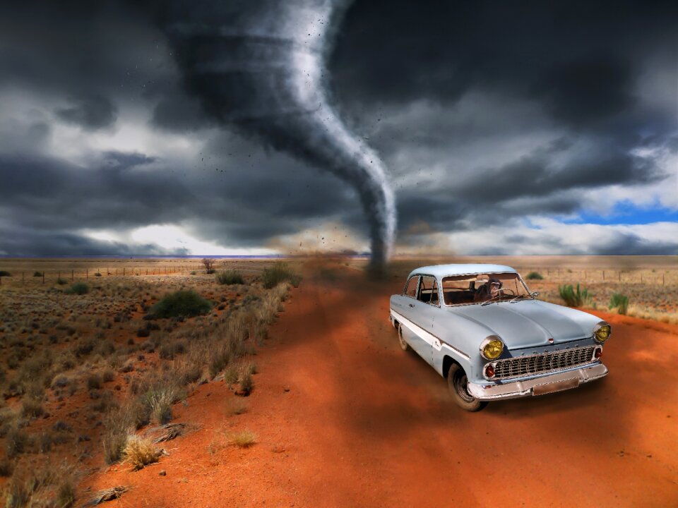 Monkey storm forward