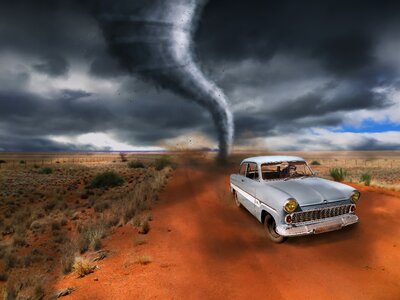 Monkey storm forward