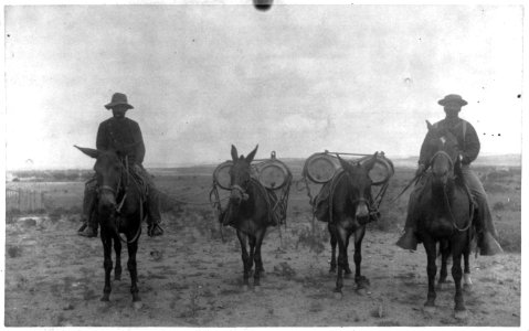 Fort Verde, Ariz., 1887- packing water on mules, Aug. 29, 1887 LCCN2006675527