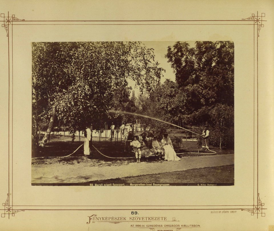 Budapest, Margitsziget, fák - Fortepan 82150