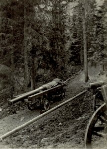 Fortsetzung der Strasse im Kaltwassertal. (BildID 15460783)