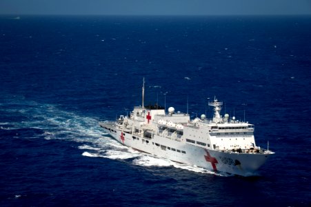Forty Ships and Submarines Steam in Close Formation During RIMPAC - Peace Ark (866) 160728-N-SI773-2686