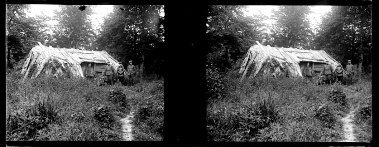 Forêt de Wailly près de Saleux - Fonds Berthelé - 49Fi806