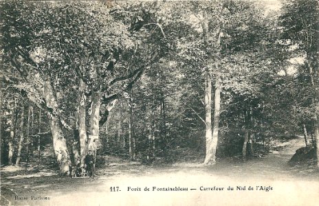 Forêt Fontainebleau-Nid d'Aigle-1920 photo
