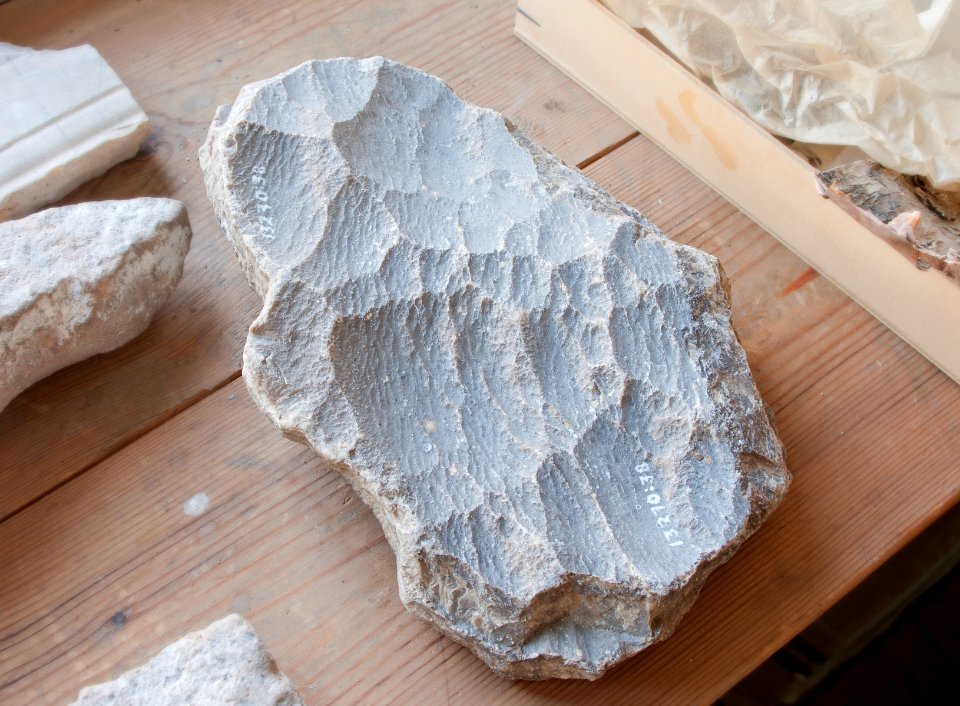 Fossilsten på bord - Skoklosters slott - 95041