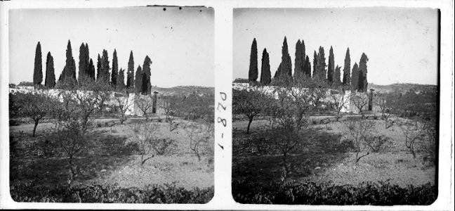 Fossar de Sant Andreu de la Barca
