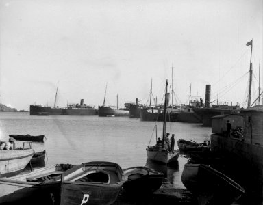 FOT NEG-018 068