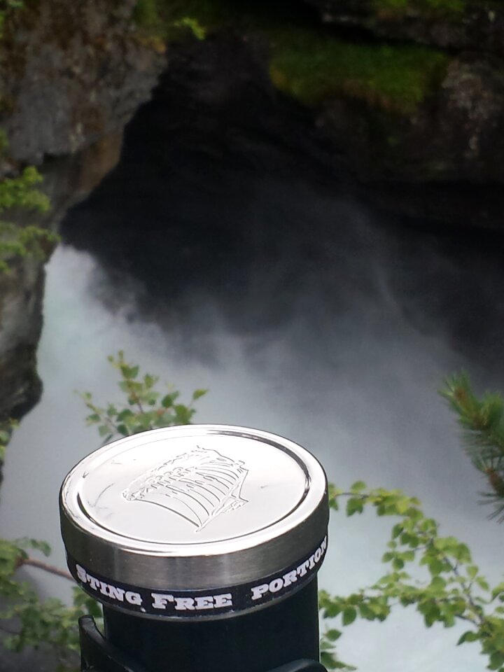 Portion snus sting free patch