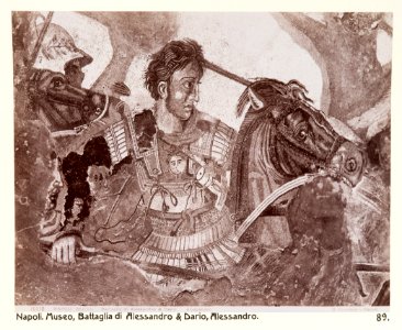 Fotografi av Alexandermosaiken. Neapel, Italien - Hallwylska museet - 106848