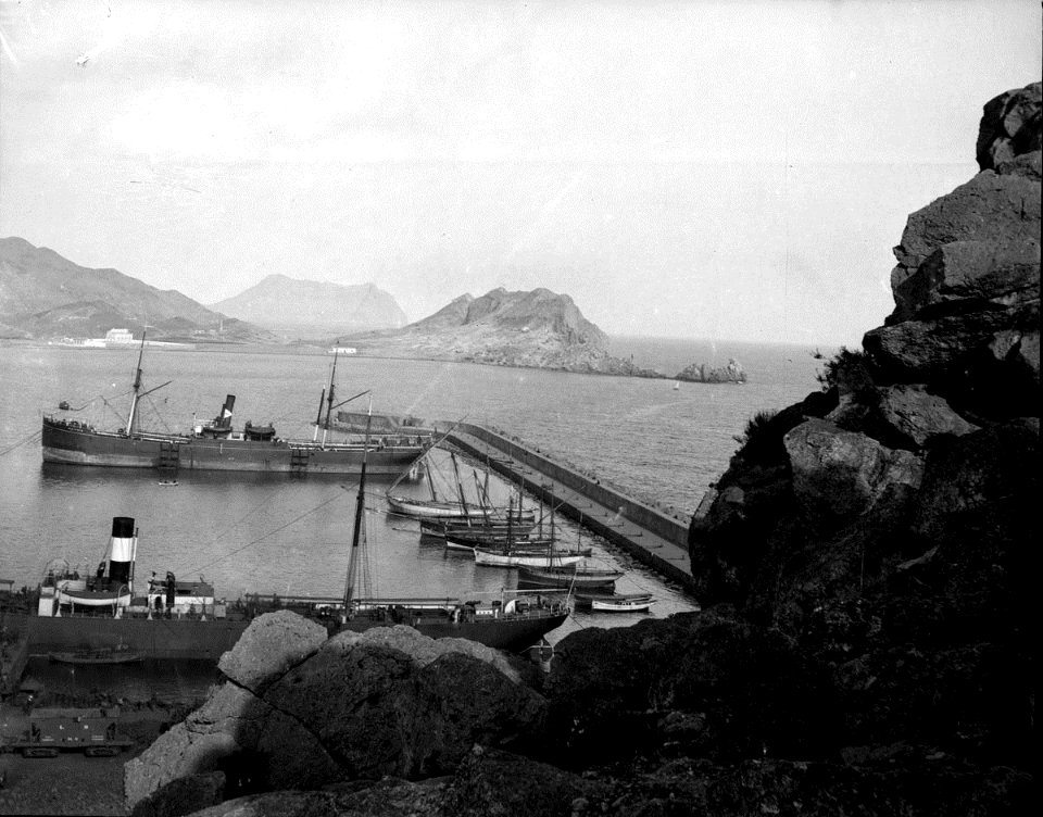FOT NEG-018 088