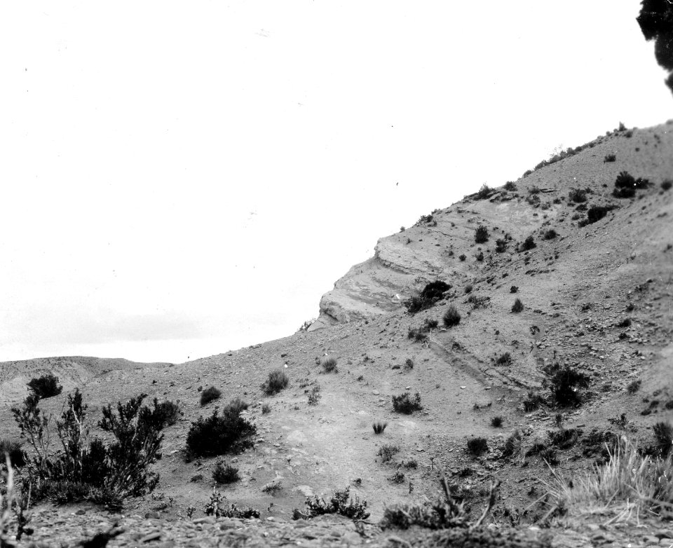 Foto av fyndplats för fossil. Lokal, Ulloma, Bolivia. Ulloma - SMVK - 002695