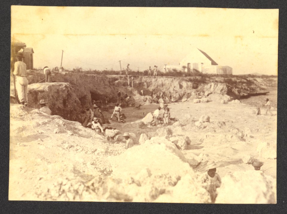 Foto door Soublette et Fils, gepubliceerd circa 1900-1920 - BNA-DIG-HARTOG-ALBUM-CURACAO-103